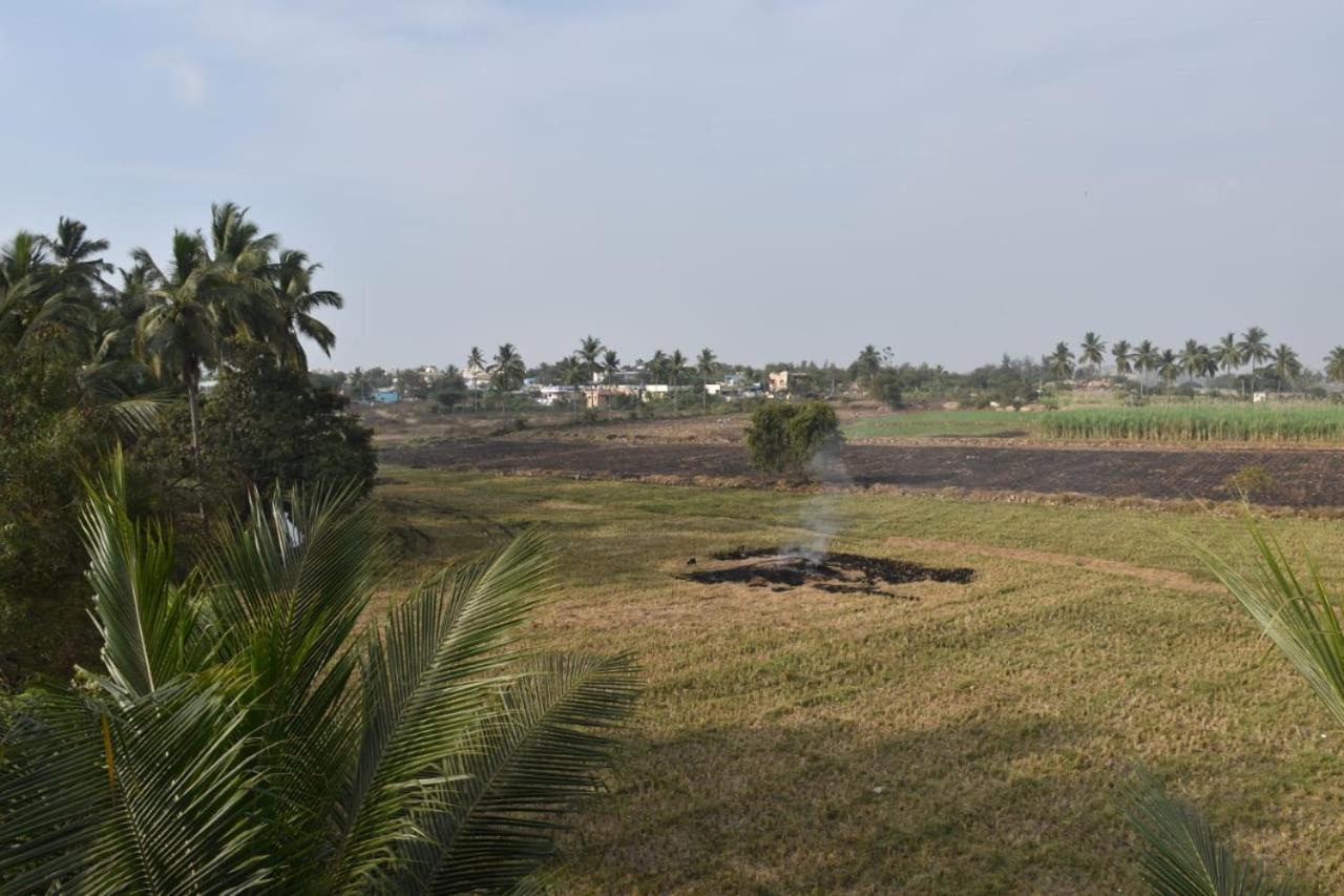 Coconut Homestay Хампи Экстерьер фото