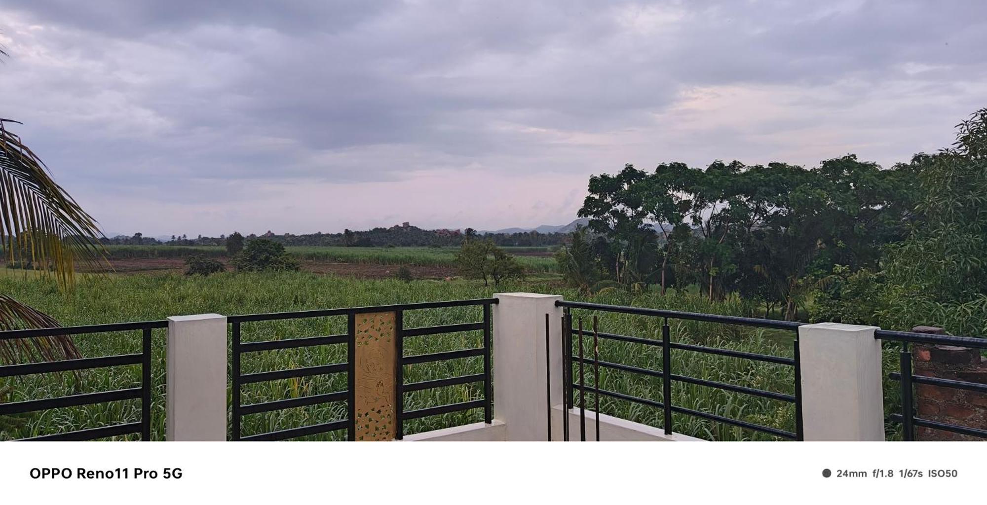 Coconut Homestay Хампи Экстерьер фото